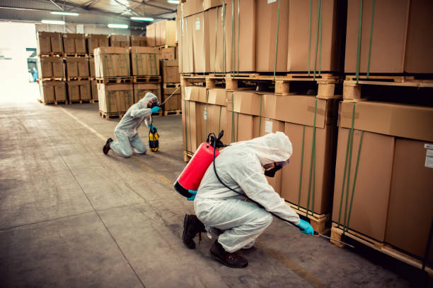 Best Emergency Pest Control  in Eagle, WI