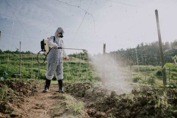 Best Pest Removal Services  in Eagle, WI