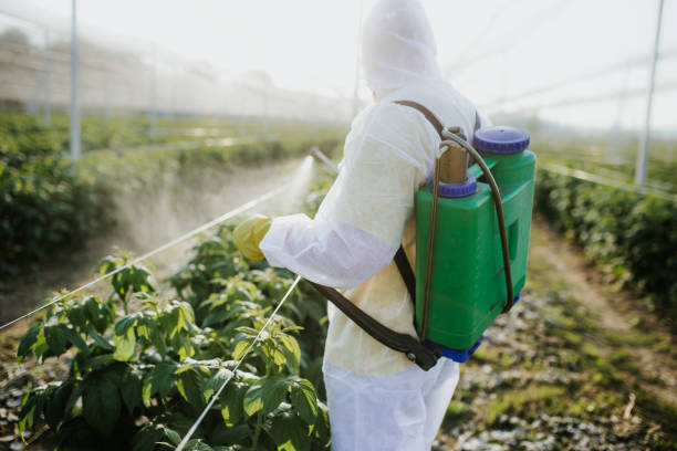 Best Best Pest Control Companies  in Eagle, WI